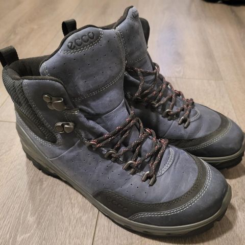 Nye Ecco Biom Gtx damesko 37