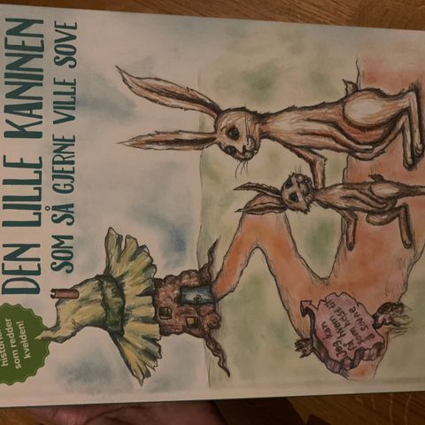 Diverse barnebøker, karsten og Petra, den lille kaninen som ikke vill sove