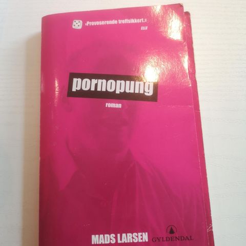 Pornopung av Mads Larsen