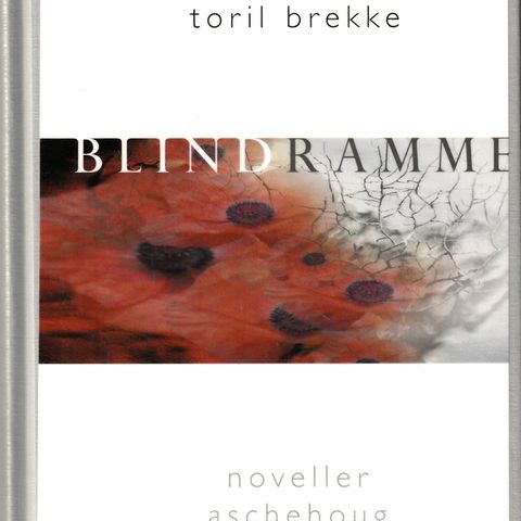 Toril Brekke – Blindramme