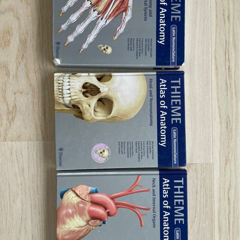 Thieme Atlas og anatomy