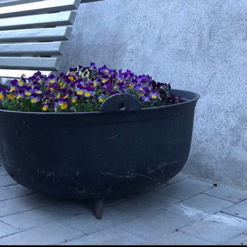 Stor blomsterpotte krukke i støpejern