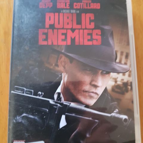 Public Enemies