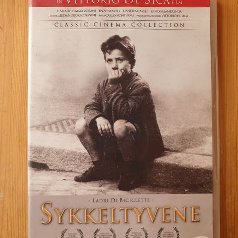 Sykkeltyvene