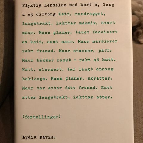 Flyktig hendelse med kort a, lang a og d - fortellinger Av Lydia Davis