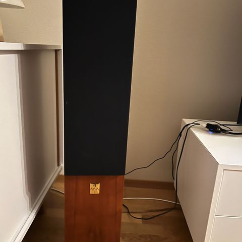 Høytalere Audiovector M3