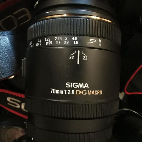 Sigma 70mm 2.8 macro til Canon