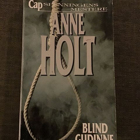 Pocketbok: Anne Holt, Blind gudinne