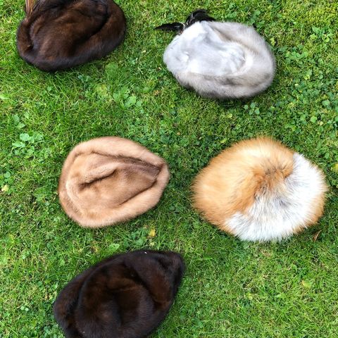 4 Mink hatter og en revehatt