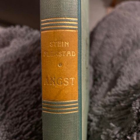 STEIN FLEKSTAD: ANGST KR 200