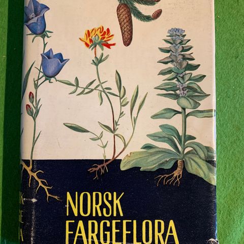Norsk fargeflora (1969)