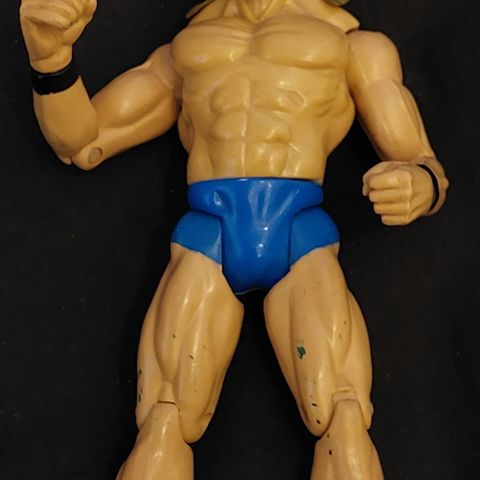 Wrestling figur 1999