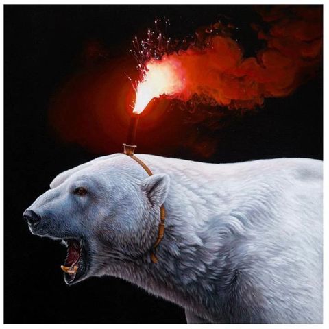 Jacub Gagnon - «Polar flare»