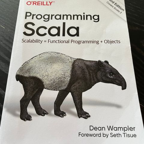 Programming Scala/programmering i scala