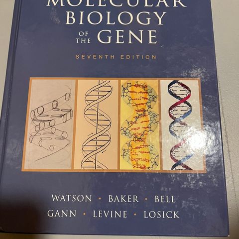 molecular biology of the gene