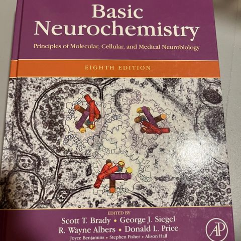 basic neurochemistry / nevrokjemi