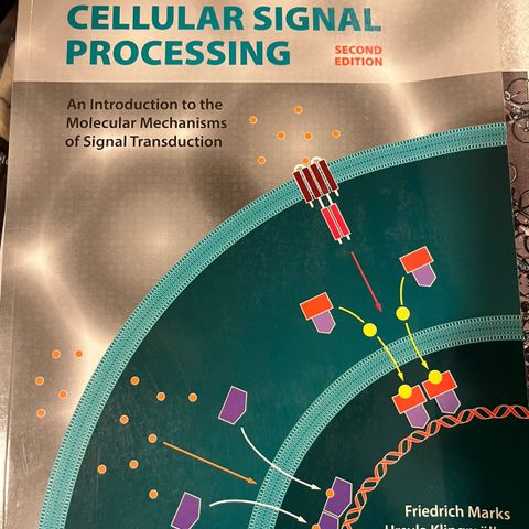 cellular signal processing/cellulær cellesignalering