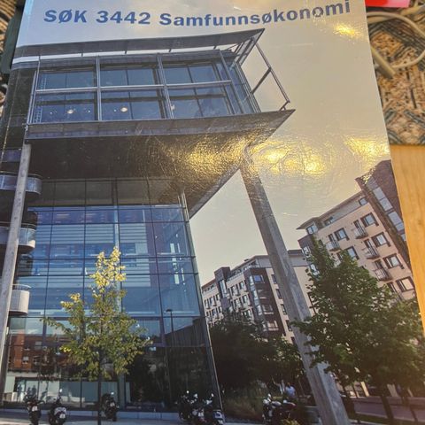 Samfunnsøkonomi