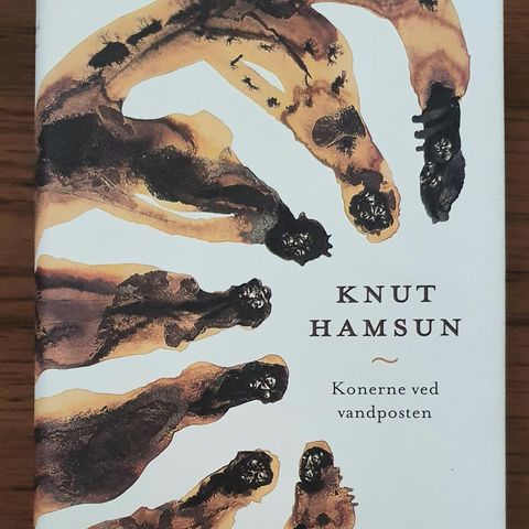 Knut Hamsun - Konerne ved vandposten (Innbundet)