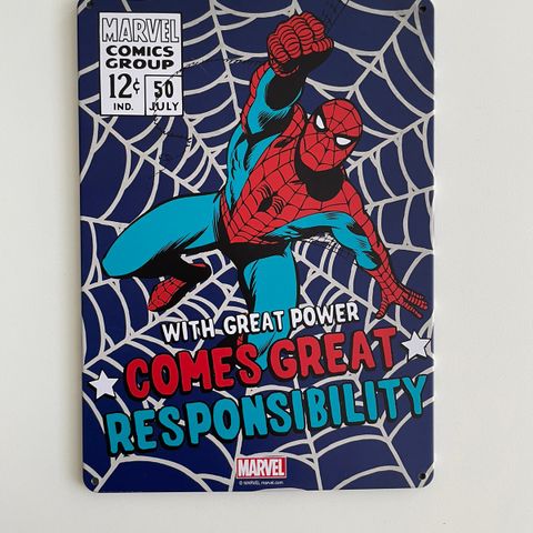 Spider-Man Metal poster / plate