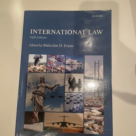 INTERNATIONAL LAW 5.utgave - statsvitenskap, menneskerettigheter, faglitteratur