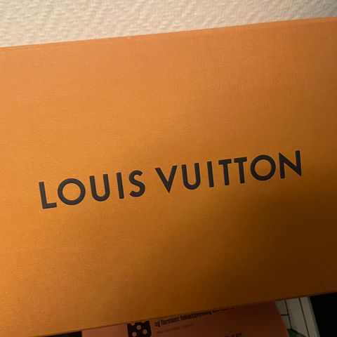 louis vuttion boks til sko