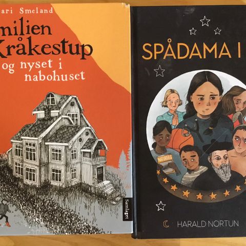 Nynorsk bøker  __ Familien kråkestup & Spådama i 7B __ 40,- begge