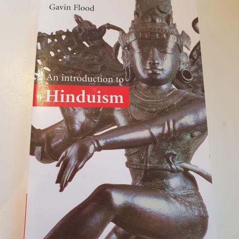 An introduction to Hinduism.  Gavin Flood