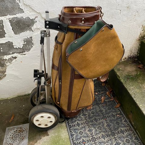 Vintage Golfbag (Telstar)