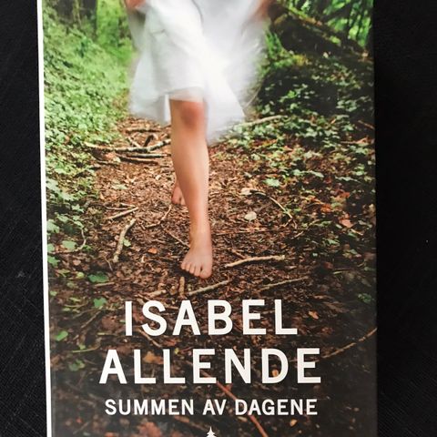 Bok av Isabell Allende - Summen av dagene