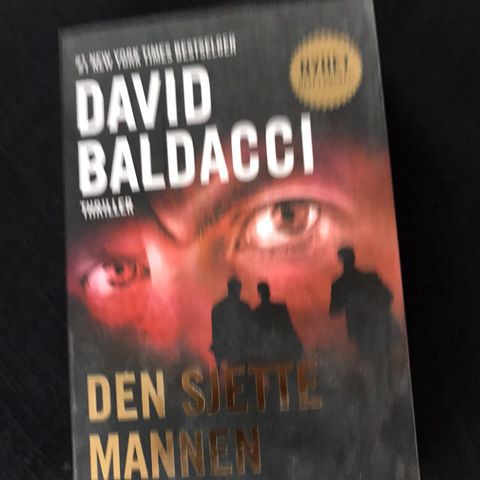 Bok av David Baldacci - Den sjette mannen