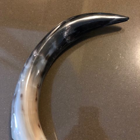 Dekor horn