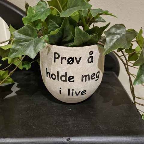 Kunstig plante med potte, morsom tekst.