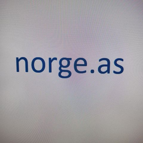 Domene norge.as selges