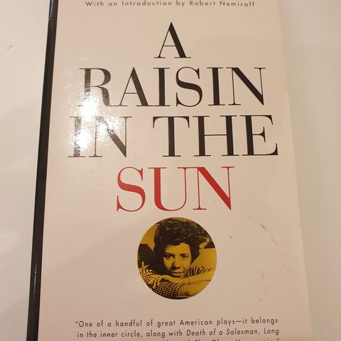 A raisin in the sun. Lorraine Hansberry
