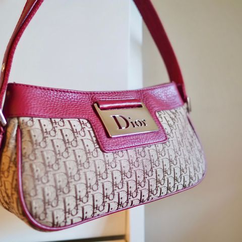 Christian Dior 2005 Chic Trotter Bag