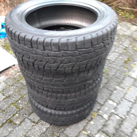 4stk 225x55x17 vinterdekk nokian