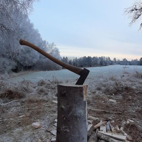 Bjørkeved 60l sekker, tørr, bærekraftig