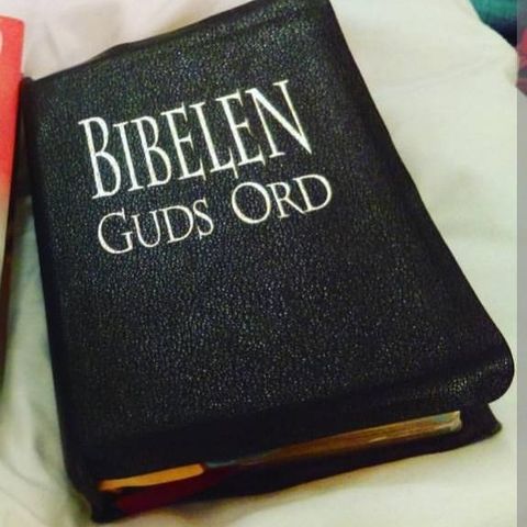 Denne bibelen ønskes kjøpt