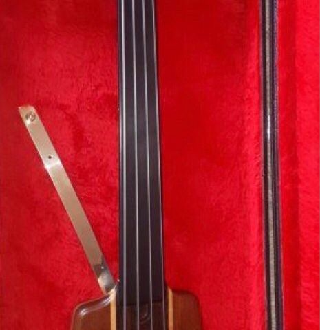 Warwick nobby meidel fretless ønskes kjøpt tilbake