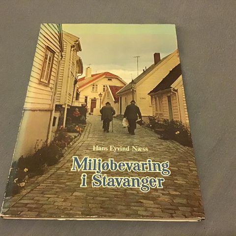 Miljøbevaring i Stavanger- Hans Eyvind Næss