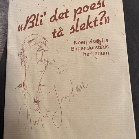 Bli det poesi tå slekt? Birger Jørstad