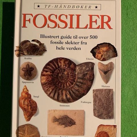 TF-Håndbøker. Fossiler