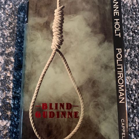 Anne Holt - Blind Gudinne  - Politiroman