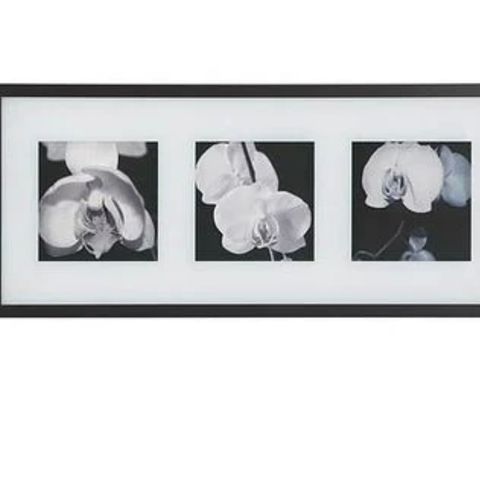 Bilderamme Erikslund med 3 bilder av hvite blomster - 3D
