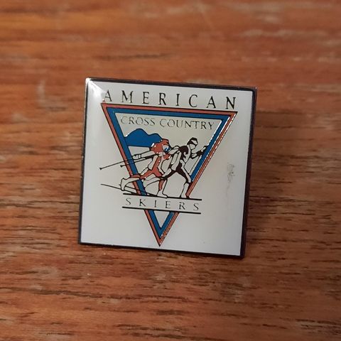 American cross country skiers pins