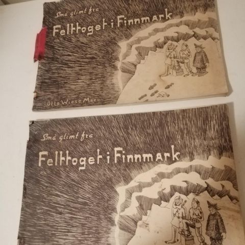 Felttoget i Finnmark