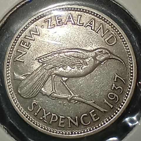 New Zealand 6 pence 1937 .500 sølv NY PRIS