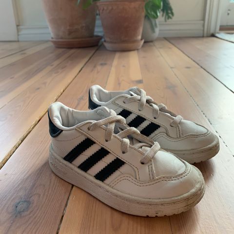 Adidas sko str 24