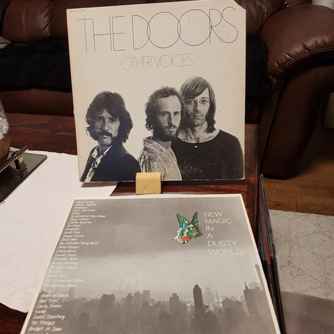 The Doors other voices